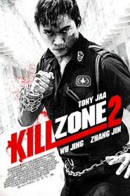 Kill Zone 2 – SPL 2: A Time for Consequences (2015) Hindi/Chinese – Full Movie Download & Watch FREE – ZMOVIE4U.COM-