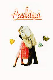 Aashiqui (1990) – Full Movie Download & Watch FREE – ZMOVIE4U.COM-