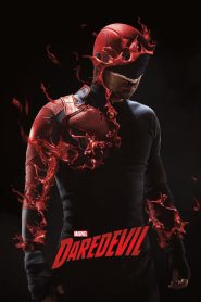 Marvel’s Daredevil (2015-2018) Season 01-03 – Hindi/English Dual Audio – Full Series Download & Watch FREE – ZMOVIE4U.COM-