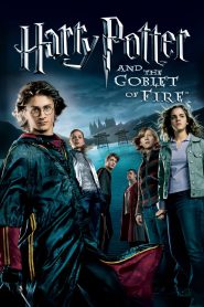 Harry Potter and the Goblet of Fire | Harry Potter 4 (2005) Hindi + English – Full Movie Download & Watch FREE – ZMOVIE4U.COM-
