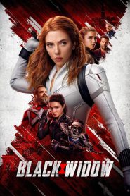 Black Widow (2021) Hindi/English – Full Movie Download & Watch FREE – ZMOVIE4U.COM-