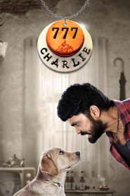 777 Charlie (2022) Hindi – Full Movie Download & Watch FREE – ZMOVIE4U.COM-