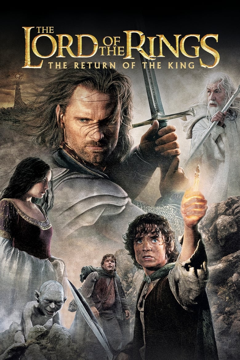 The Lord of the Rings: The Return of the King (2003) Extended BluRay Dual Audio Hindi + English – Full Movie Download & Watch FREE – ZMOVIE4U.COM-