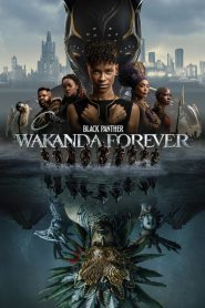Black Panther: Wakanda Forever (2022) Hindi + English – Full Movie Download & Watch FREE – ZMOVIE4U.COM-