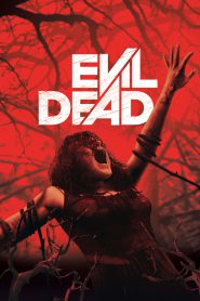 Evil Dead (2013) Dual Audio Hindi + English – Full Movie Download & Watch FREE – ZMOVIE4U.COM-