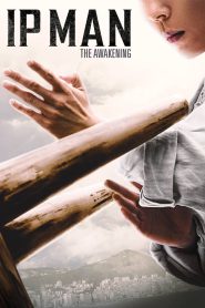 Ip Man: The Awakening (2021) Hindi/English – Full Movie Download & Watch FREE – ZMOVIE4U.COM-