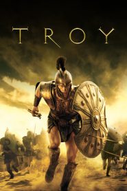 Troy (2004) Hindi + English – Full Movie Download & Watch FREE – ZMOVIE4U.COM-