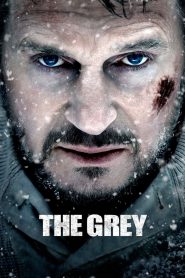 The Grey (2012) – Full Movie Download & Watch FREE