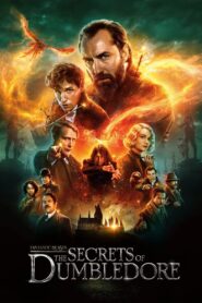 Fantastic Beasts: The Secrets of Dumbledore (2022) Dual Audio Hindi + English – Full Movie Download & Watch FREE – ZMOVIE4U.COM-