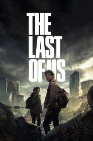 The Last of Us (2023-2025) Season 01 – 02 – Hindi/English – Full Series Download & Watch FREE – ZMOVIE4U.COM-