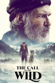 The Call Of The Wild (2020) Hindi + English – Full Movie Download & Watch FREE – ZMOVIE4U.COM-