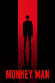 Monkey Man (2024) Dual Audio [Hindi HQ-English] AMZN WEB-DL H264 AAC 720p