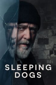 Sleeping Dogs (2024) Hindi + Eanglish – Full Movie Download & Watch FREE – ZMOVIE4U.COM-