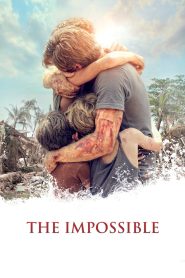 The Impossible (2012) Hindi/English – Full Movie Download & Watch FREE – ZMOVIE4U.COM-
