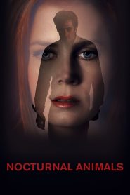 Nocturnal Animals (2016) Hindi + English – Full Movie Download & Watch FREE – ZMOVIE4U.COM-