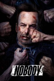 Nobody (2021) Hindi + English – Full Movie Download & Watch FREE – ZMOVIE4U.COM-
