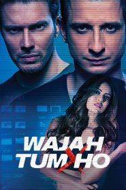 Wajah Tum Ho (2016) – Full Movie Download & Watch FREE – ZMOVIE4U.COM-