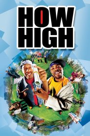 How High (2001) English – Full Movie Download & Watch FREE – ZMOVIE4U.COM-