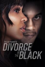 Tyler Perry’s Divorce in the Black (2024) Hindi + English – Full Movie Download & Watch FREE – ZMOVIE4U.COM-