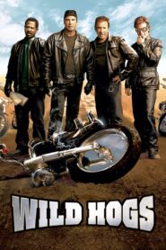 Wild Hogs (2007) – Hindi/English – Full Movie Download & Watch FREE – ZMOVIE4U.COM-