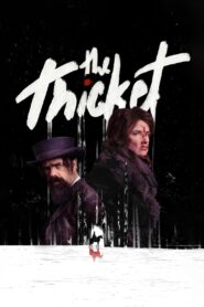 The Thicket (2024) Dual Audio Hindi ORG – Full Movie Download & Watch FREE – ZMOVIE4U.COM-