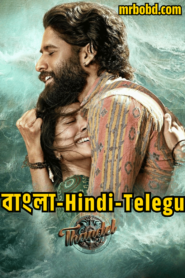 Thandel (2025) Bangla/Hindi/Telegu – Full HD – Full Movie Download & Watch FREE – ZMOVIE4U.COM-