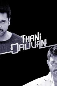 Thani Oruvan (2015) Hindi/Tamil Dual Audio – Full Movie Download & Watch FREE – ZMOVIE4U.COM-