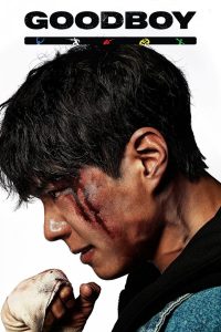Good Boy (2025) S01 – Ep: 01-16 – Dual Audio [Hindi-Korean] AMZN WEB-DL – Full Series Download & Watch FREE – ZMOVIE4U.COM-