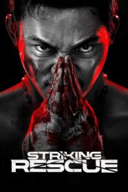 Striking Rescue (2024) – 4K – Dual Audio [Hindi ORG-Chinese] BluRay & Watch FREE