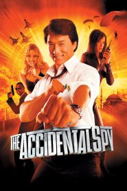 The Accidental Spy (2001) Dual Audio [Hindi ORG-Chinese] BluRay & Watch FREE