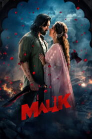 🌟 Upcoming – Malik (2026)